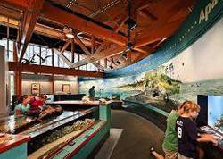 Things To Do https://collinsvacationrentals.icnd-cdn.com/images/thingstodo/apalachicola-national-estuarine-research-reserve-anerr.jpg