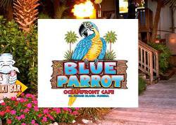 Things To Do https://collinsvacationrentals.icnd-cdn.com/images/thingstodo/blue-parrot-oceanfront-caf.jpg