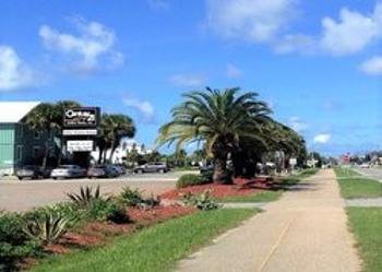 Things To Do https://collinsvacationrentals.icnd-cdn.com/images/thingstodo/st-george-island-bicycle-trail.jpg