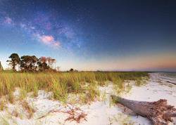 Things To Do https://collinsvacationrentals.icnd-cdn.com/images/thingstodo/st-george-island-state-park.jpg